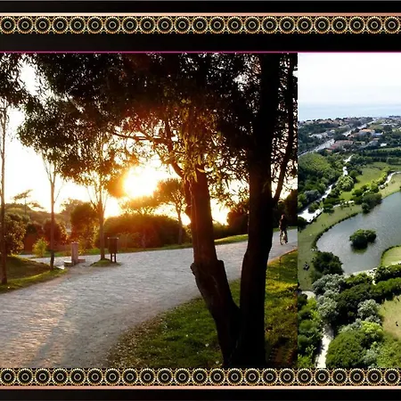 Ξενοδοχείο Jaguar - Airport To And Center And Vice-versa Is A Free And Continuous Shuttle Service From 7am To 8pm 4*