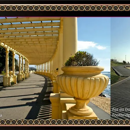 Jaguar - Airport To And Center And Vice-versa Is A Free And Continuous Shuttle Service From 7am To 8pm 4*